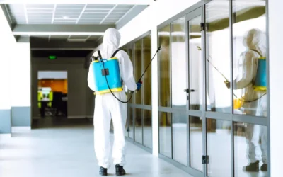 What is Pest Control and When to Hire