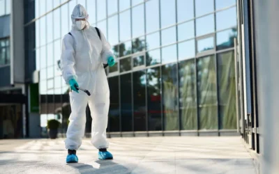 The Importance of Hygiene in Pest Prevention