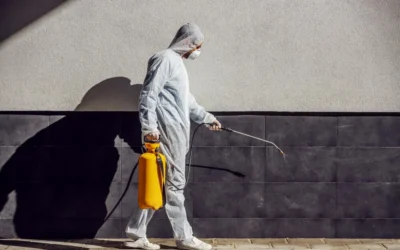 Pest control professional working